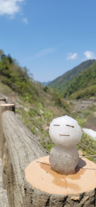 富山　家具　おしゃれ　おすすめ