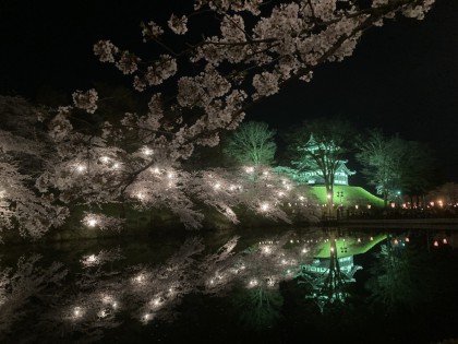 髙田城夜桜