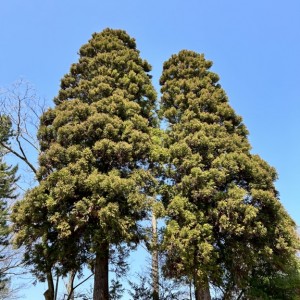 全壁面造作本棚☆
