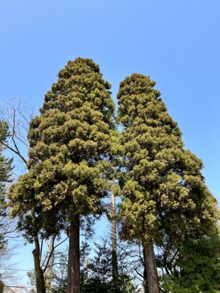 富山　おしゃれ　おすすめ　家具